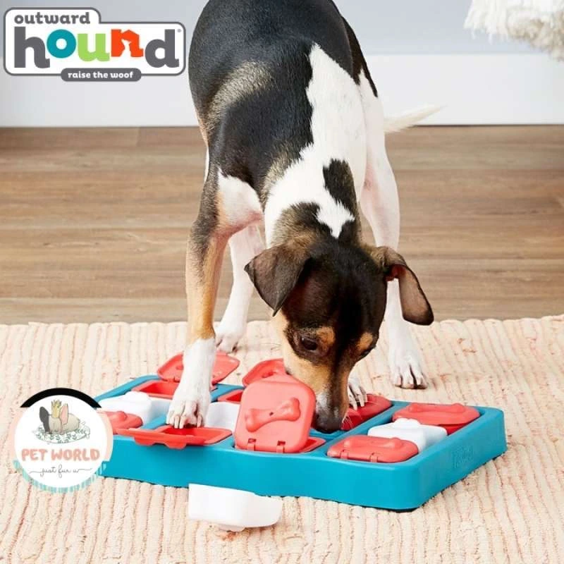 Photos of dogs using the Extrovert Hound interactive puzzle toys