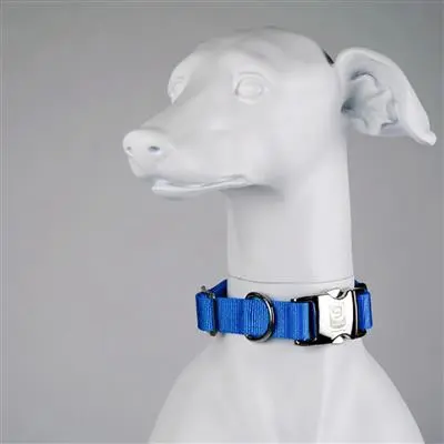 Blue-9’s Eco-Friendly Dog Collars Photo