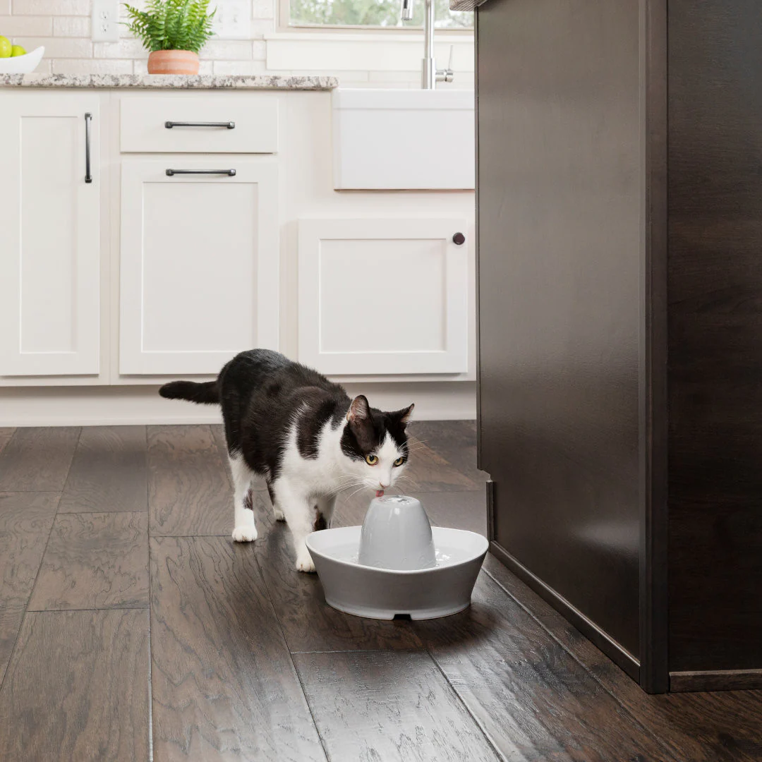 PetSafe’s Solar-Powered Pet Fountain Picture