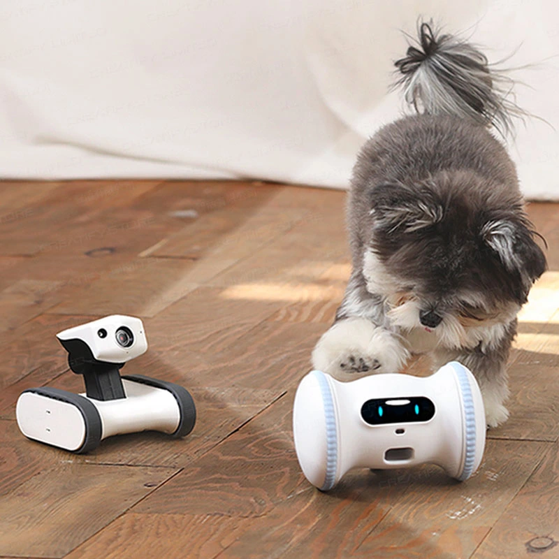 Dog is playing with VARRAM Pet Fitness Robot