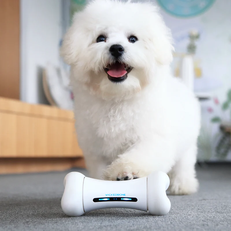 Dog is happy to have a Wickedbone Smart Bone Toy