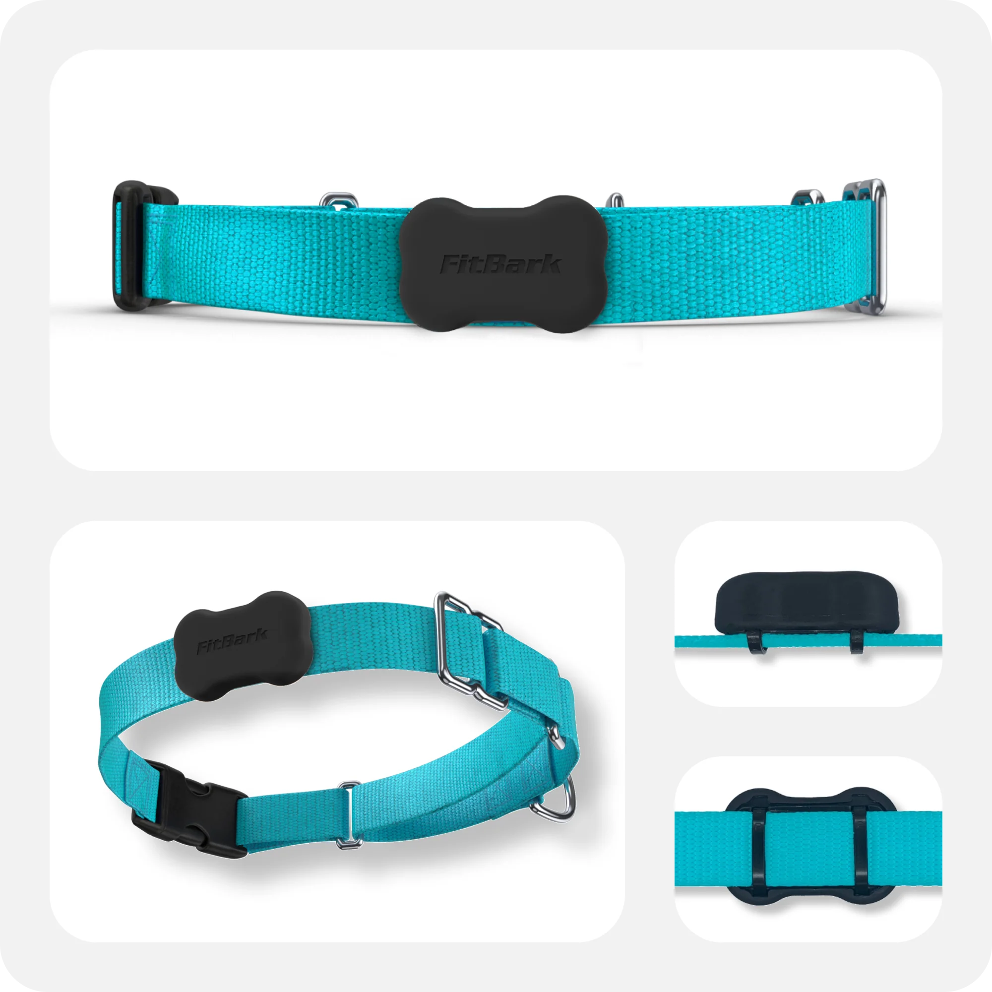 FitBark 2 Dog Activity Tracker picture