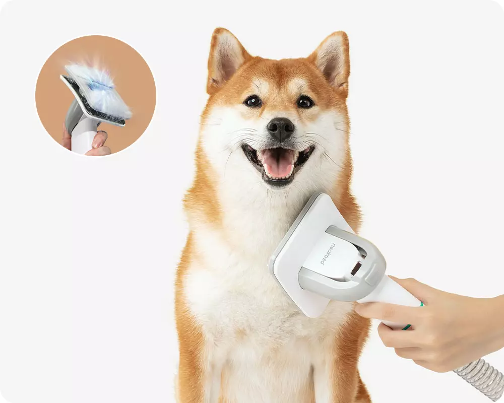 Neabot's Pet Grooming Vacuum Picture