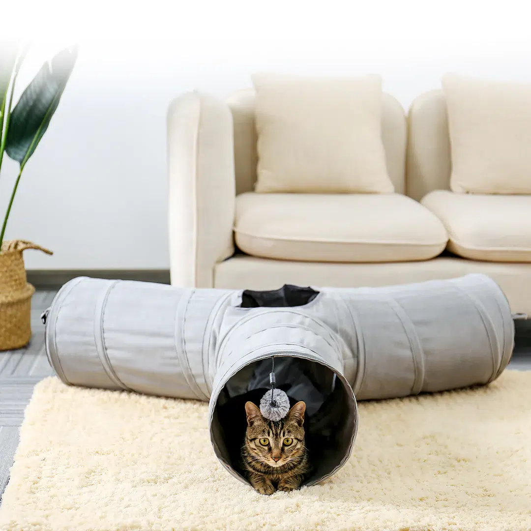 Pawzone Collapsible Cat Tunnel Picture