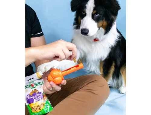 Top 10 Dog Toy Manufacturers to Watch for Unique Product Trends