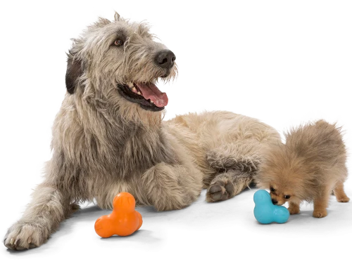 Top 10 best sales dog chew ball manufacturers